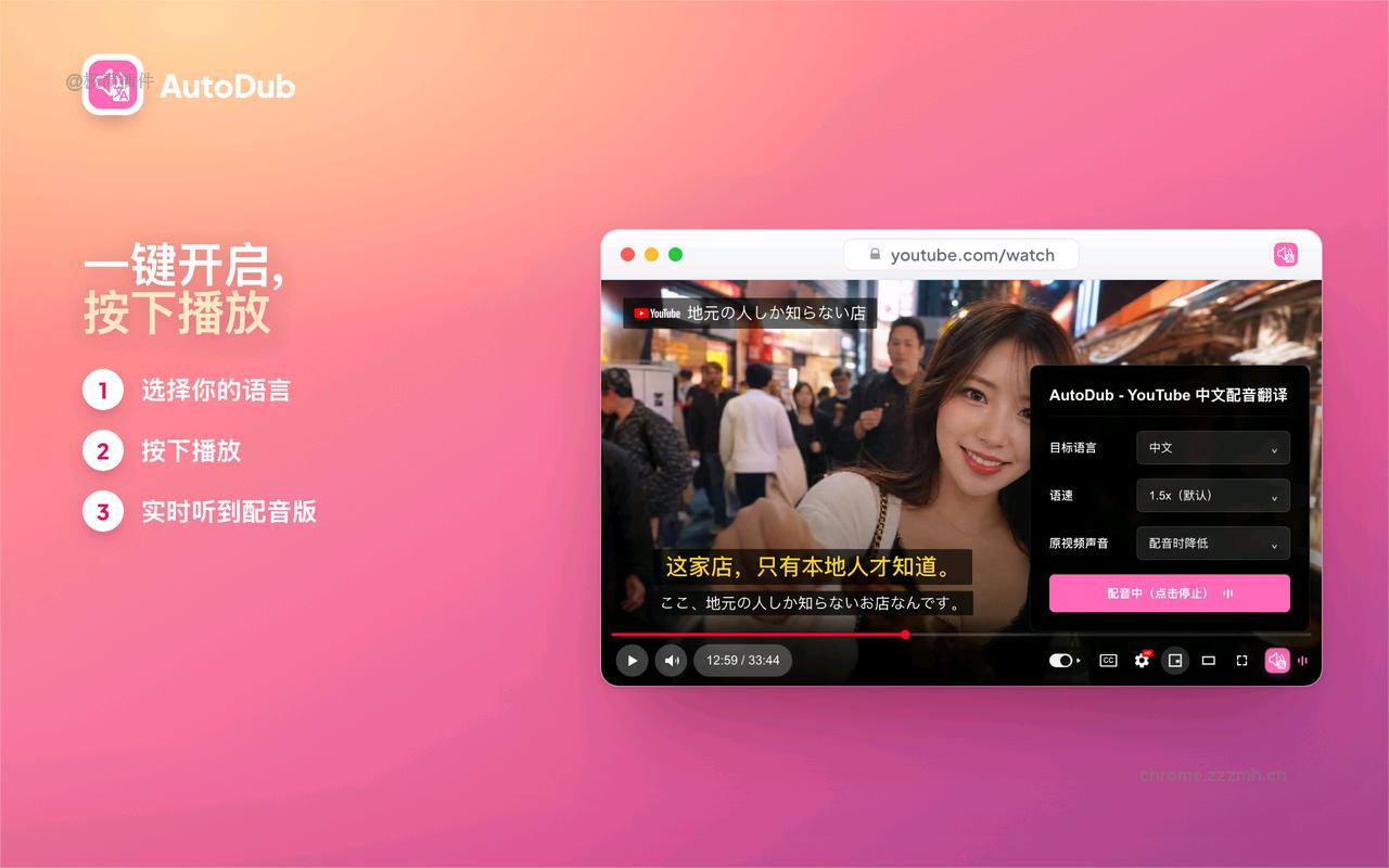 AutoDub - YouTube 中文配音·视频翻译 | Dubbing_0.7.2_image_0