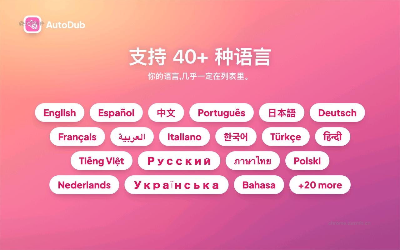 AutoDub - YouTube 中文配音·视频翻译 | Dubbing_0.7.2_image_1