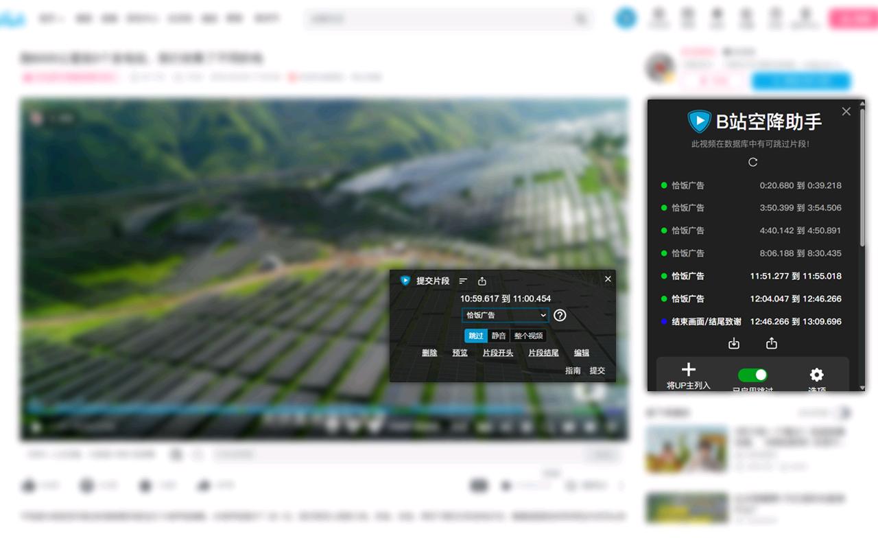 B站空降助手_0.13.0_image_2