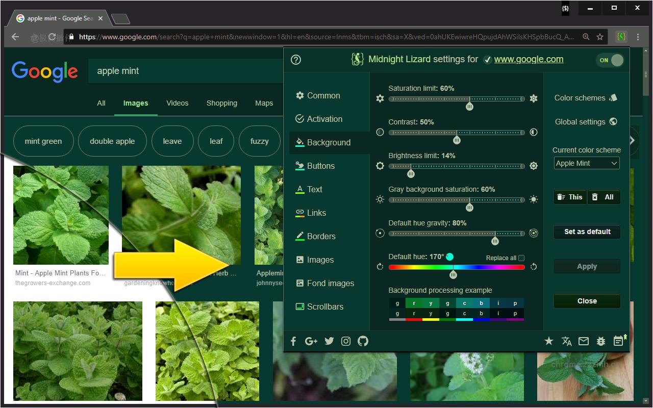 Midnight Lizard_11.0.0_image_2