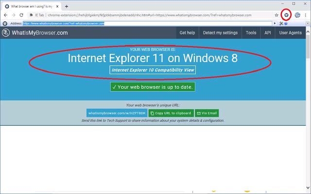 IE Tab_19.3.5.1_image_3