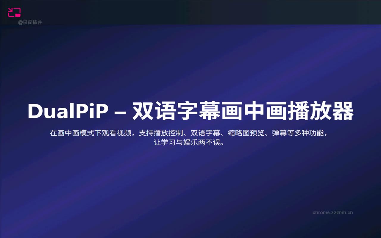 DualPiP – 画中画播放器 | ASR实时字幕 · 双语字幕 · AI翻译_1.7.25_image_0