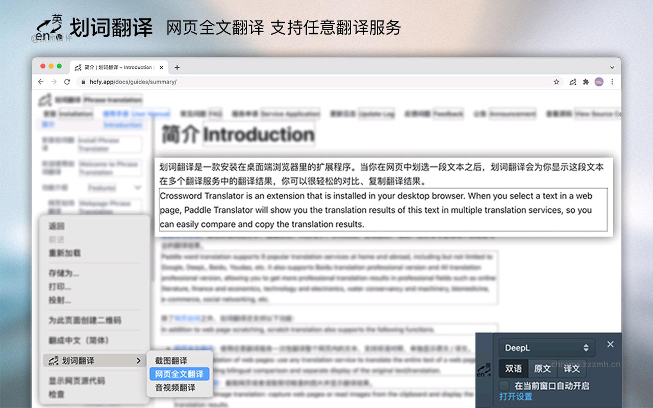 划词翻译_11.9.0_image_1