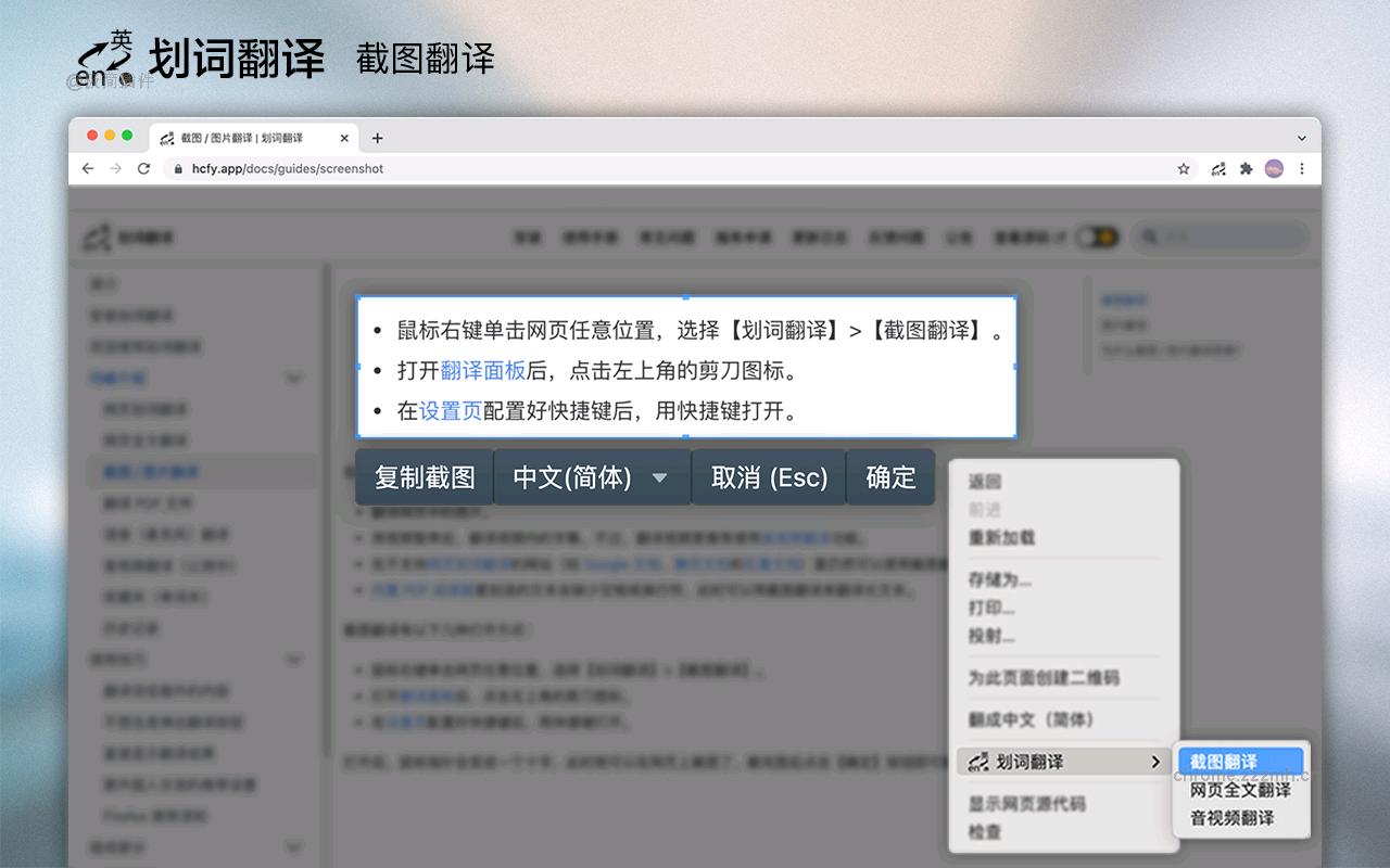 划词翻译_11.9.0_image_2